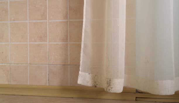 Best Asbestos and Lead Testing During Mold Inspection  in Stuart, IA