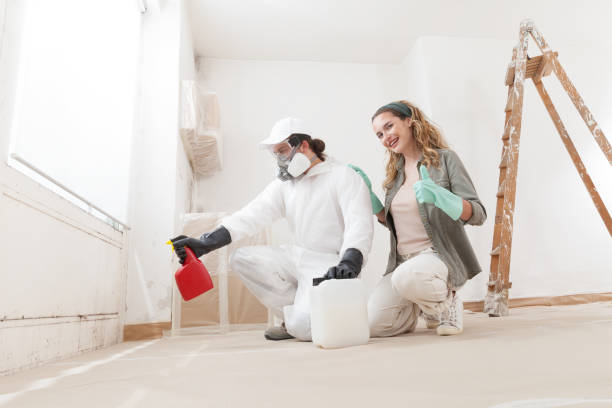 Best Crawl Space Mold Remediation  in Stuart, IA